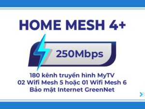 HOME MESH 4+
