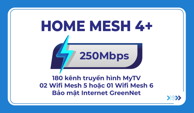 Home Mesh 4 +
