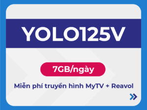 YOLO125V